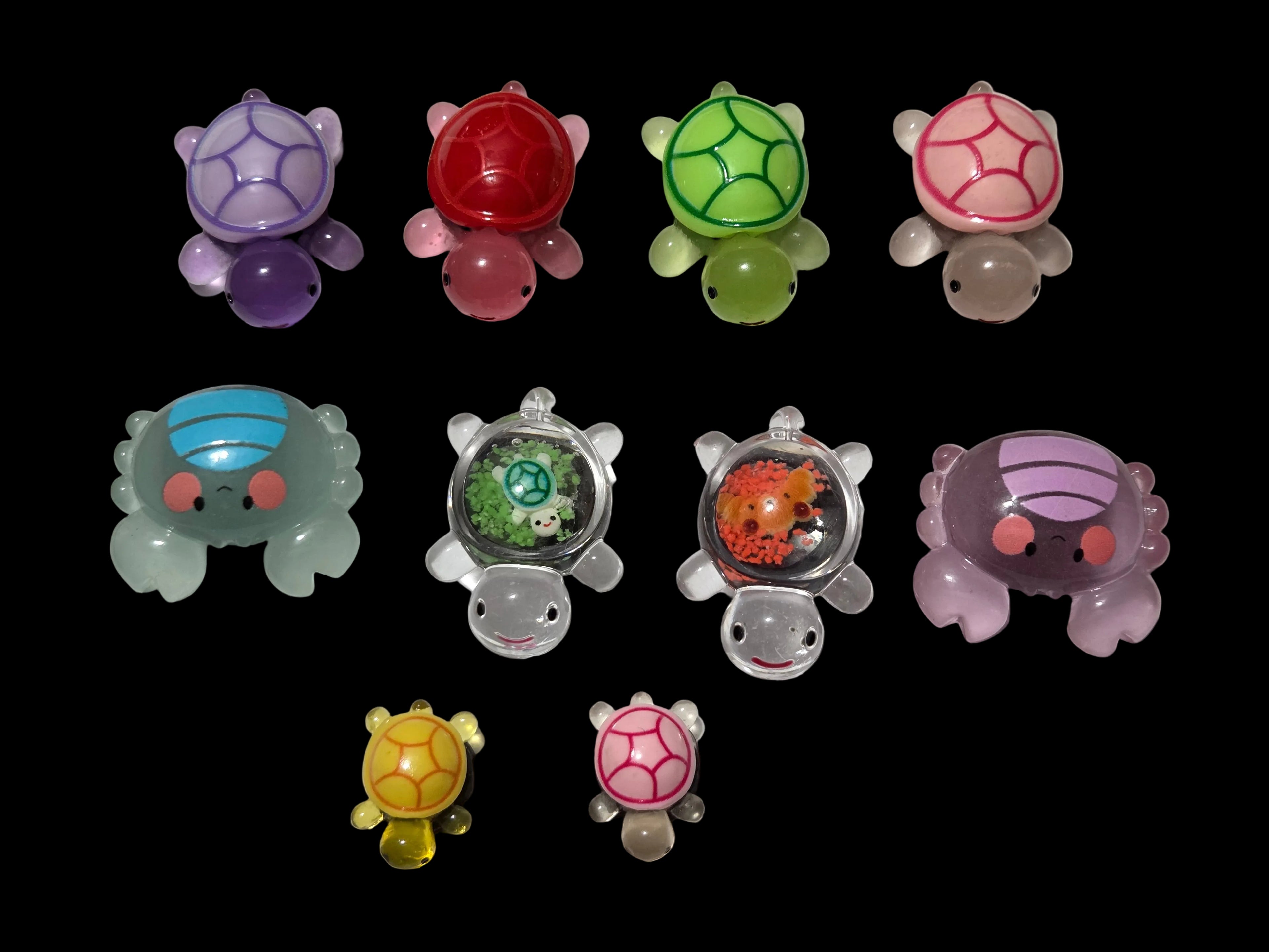 Turtle and friends magnets