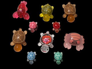 Turtle and friends magnets
